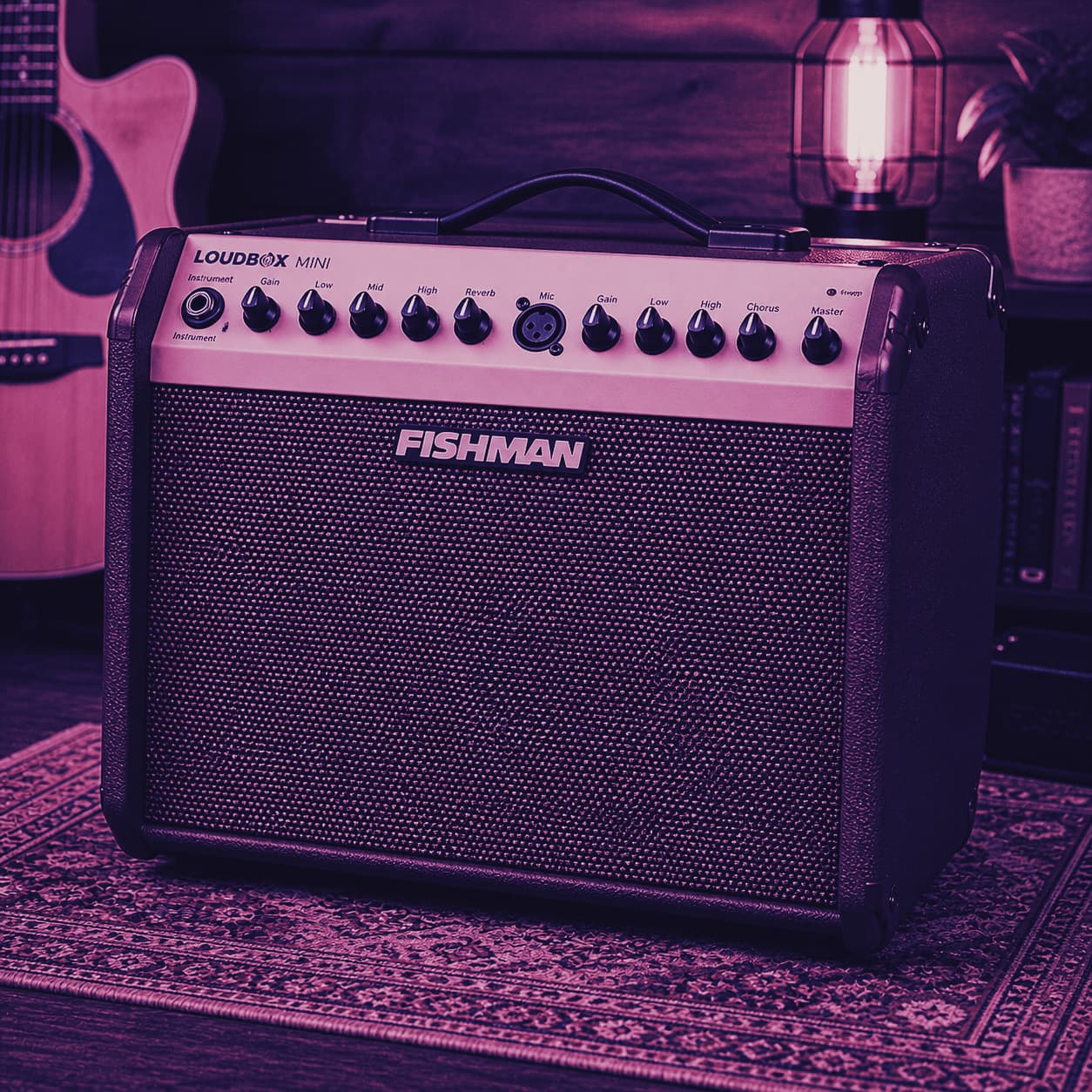 Acoustic Amps